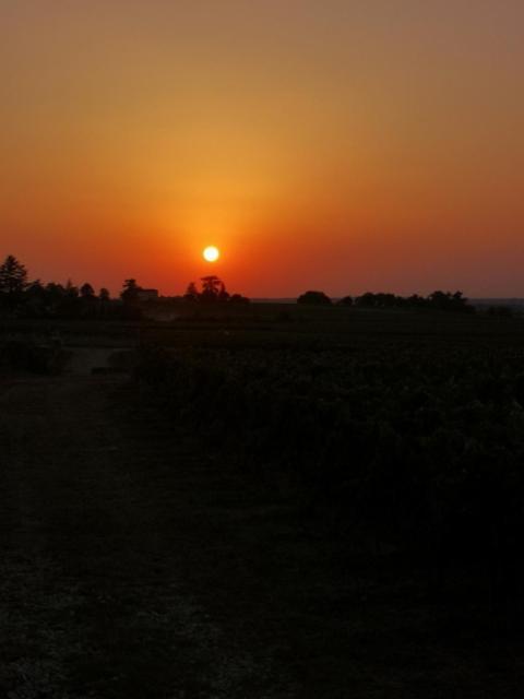 Вилла L Escale Des Vignes Gite Proche Saint Emilion Chateau Beynat Экстерьер фото